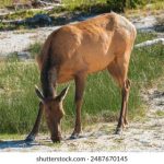 如何选择最适合你的送彩金平台,获取更多优惠? 2q1e9u90g