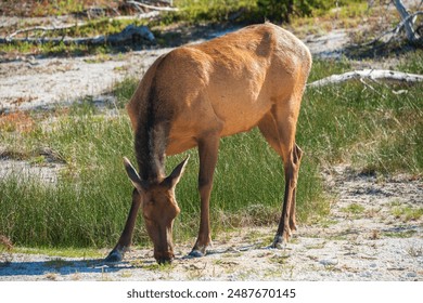 如何选择最适合你的送彩金平台,获取更多优惠?