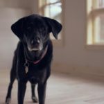 如何安全访问百丽宫网站官方入口,获取最新优惠信息 4094rtfkl