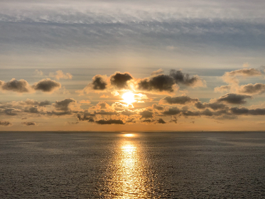 如何在8868体育上获取最新体育资讯与精彩赛事回顾