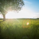 如何有效利用 www 196 com 提供的资源与服务 bz74cud4