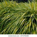 如何安全便捷地访问欧博游戏登录平台入口指南 j1wza