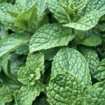 如何在www.6731.com上获取最佳游戏体验与奖励 n68a2hiw