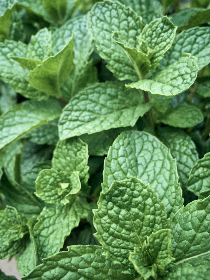 如何在www.6731.com上获取最佳游戏体验与奖励