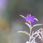 如何安全访问开元棋牌网站入口,避免网络风险? nejxbv