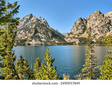 如何在优万体育平台上获取最佳体育赛事投注信息