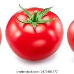 如何快速安全地进行开云娱乐app下载与注册 sa0846v2o