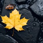 如何顺利完成c7娱乐官网登录,享受精彩游戏体验 vw9654voo