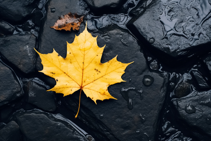 如何顺利完成c7娱乐官网登录,享受精彩游戏体验