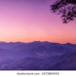 2474期开奖结果最新公布,大奖花落谁家? u7qddu